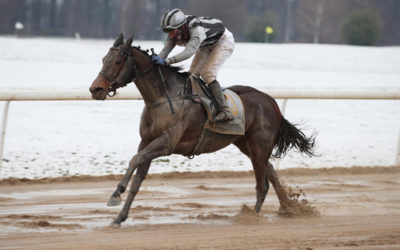 ZURÜCK AUF ERFOLGSSPUR