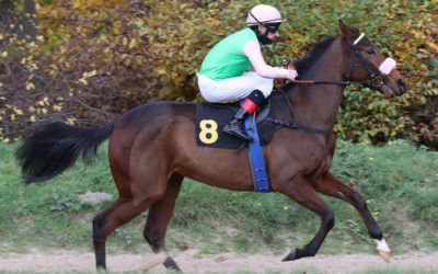 CHANCENREICH UNTERWEGS