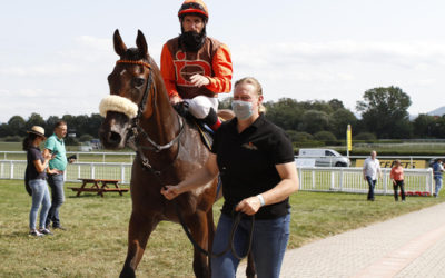 STARKES BEGLEITDUO