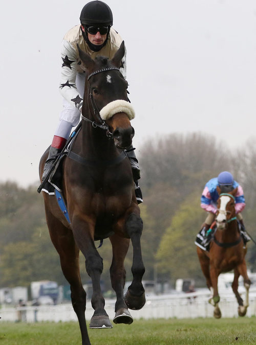 MAIDEN UND HANDICAP
