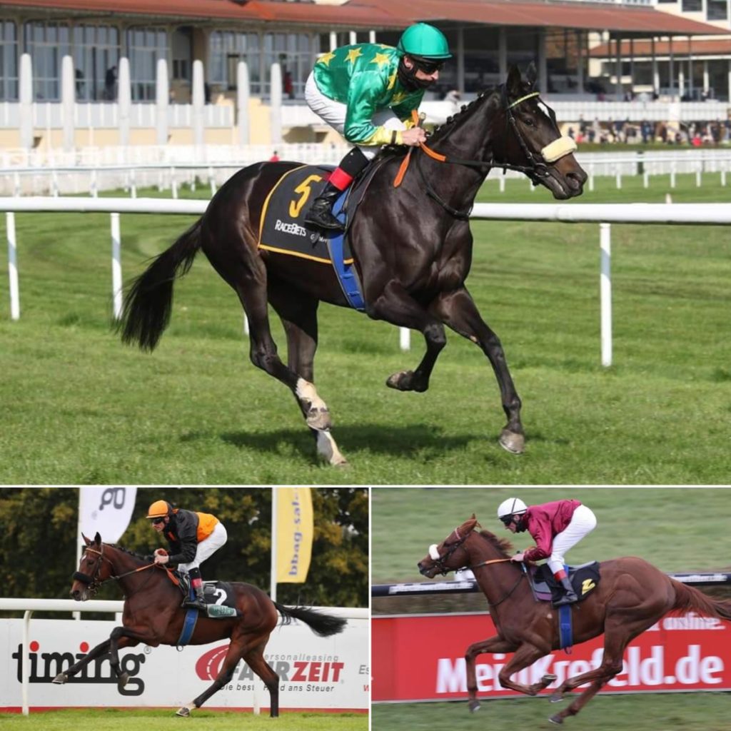HOPPEGARTEN TRIO