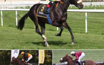 HOPPEGARTEN TRIO