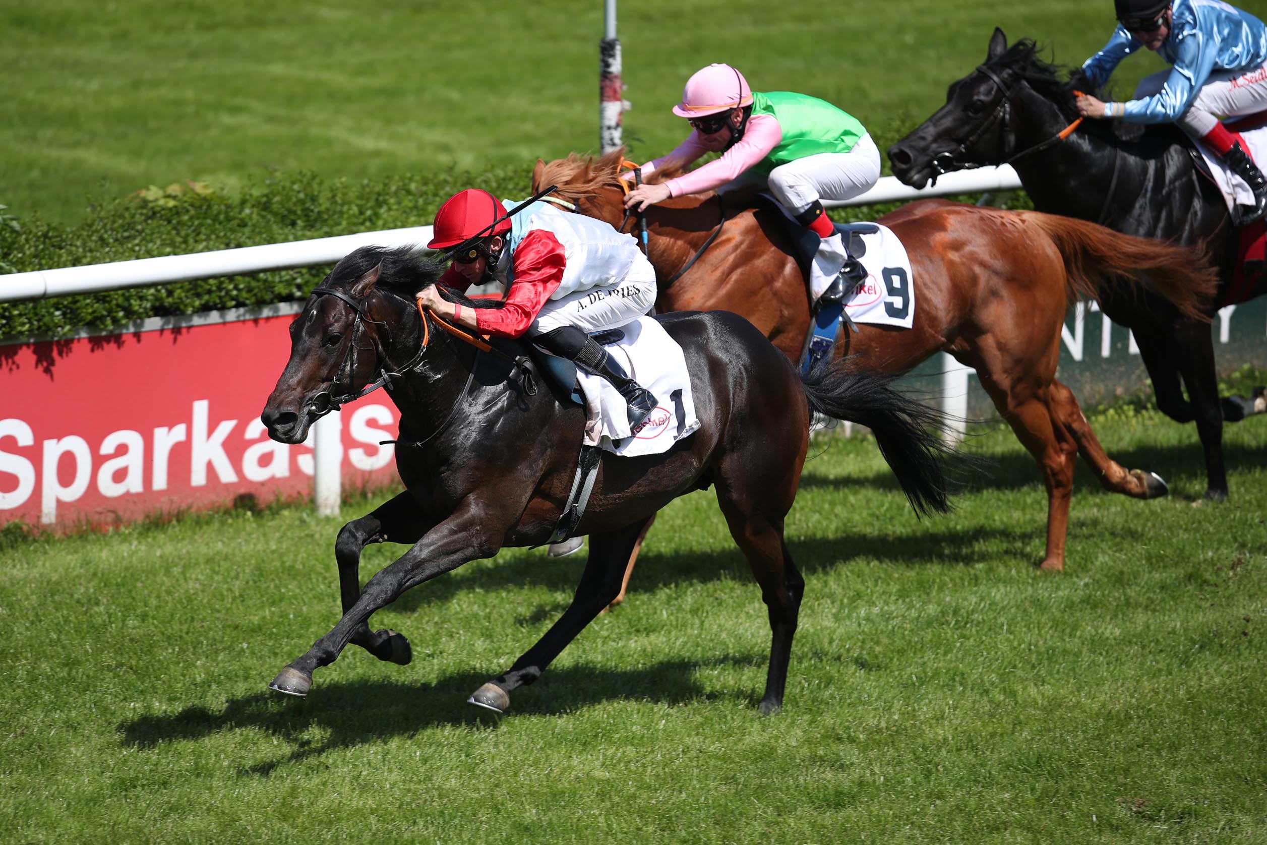 Aff Un Zo siegt unter Adrie de Vries in der Torquator Tasso-Trophy – Grafenberger Derby Trial, L.