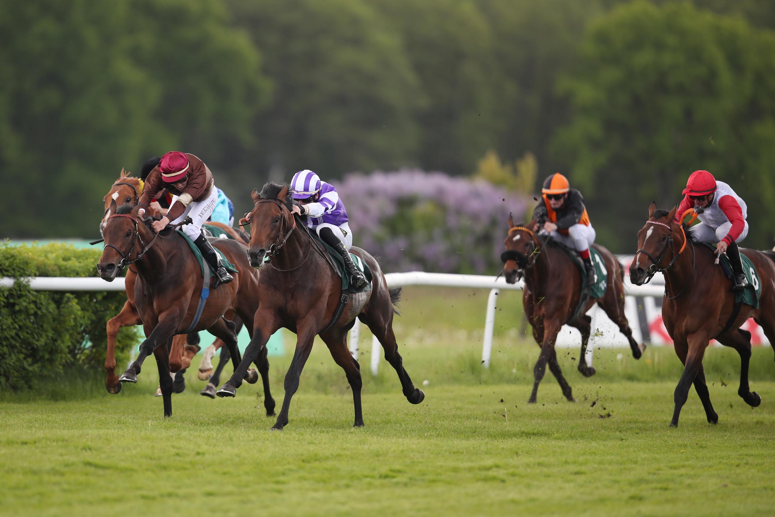 Sea of Sands siegt unter Lukas Delozier im WETTSTAR.de Derby Trial, Gr. 3