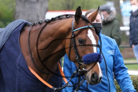 Augustinus