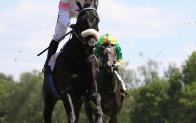 ZWEITER – DANN GECLAIMT