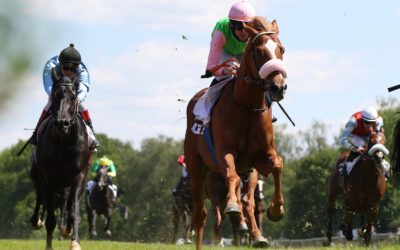 DERBY – ZWEI MIT REITER