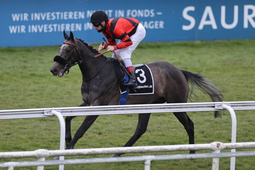 ZWEI FÜR AUSTRIAN DERBY