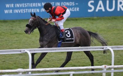 ZWEI FÜR AUSTRIAN DERBY