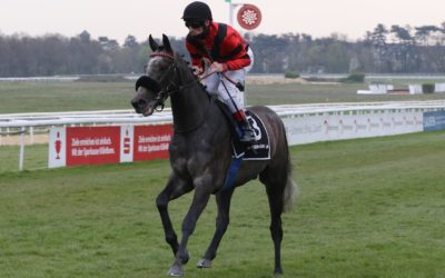 UM DERBYSTART UND MAIDENSIEG