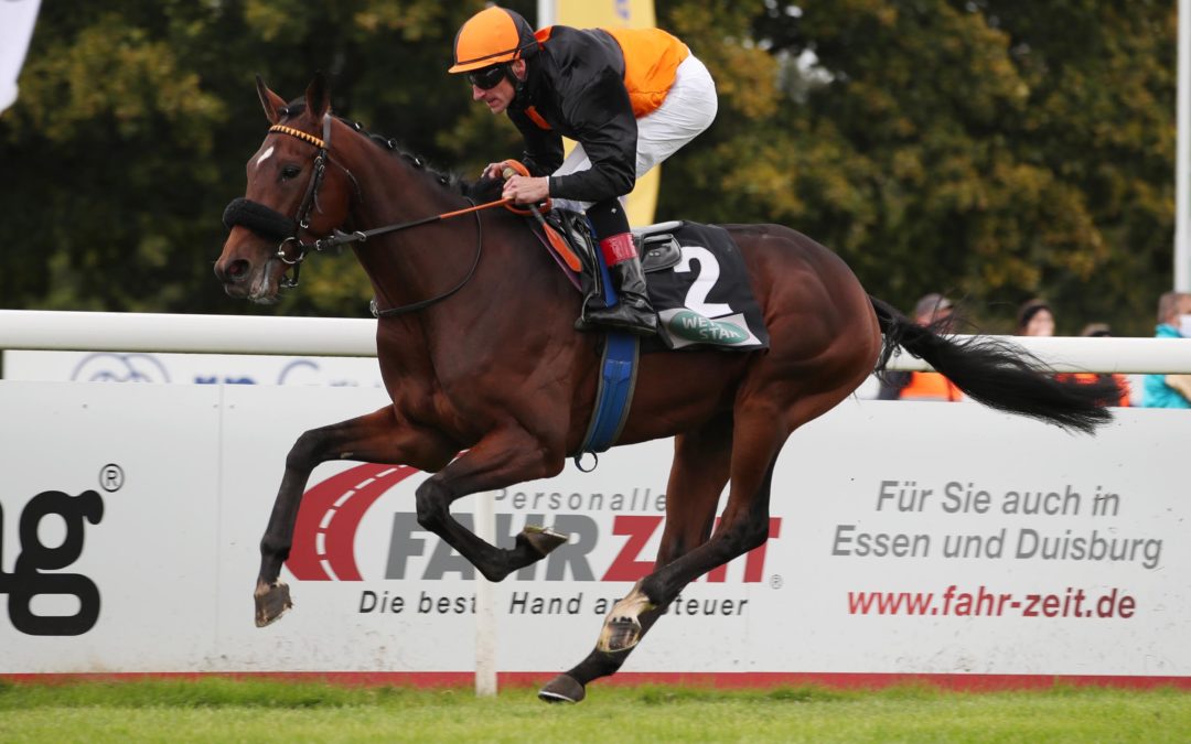 Starke Begleitung