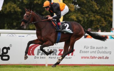 Starke Begleitung
