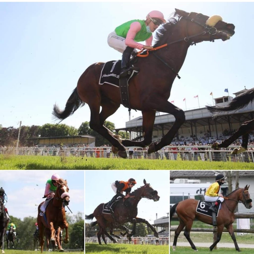 DAS DERBY QUARTETT