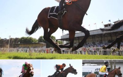 DAS DERBY QUARTETT