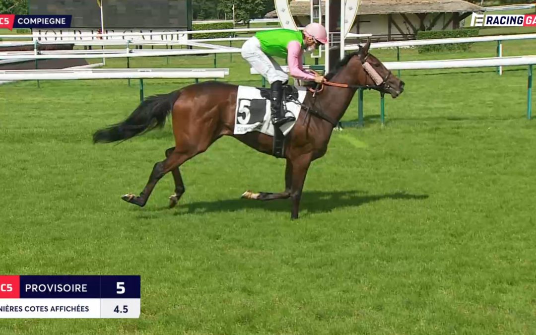 GRÜN-ROSA AUCH IN COMPIEGNE VORNE