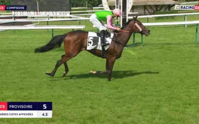 GRÜN-ROSA AUCH IN COMPIEGNE VORNE
