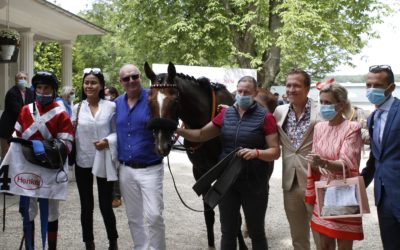 DEBUTANT IM HARZ