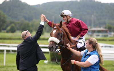QT WECHSELT NACH NEUSEELAND