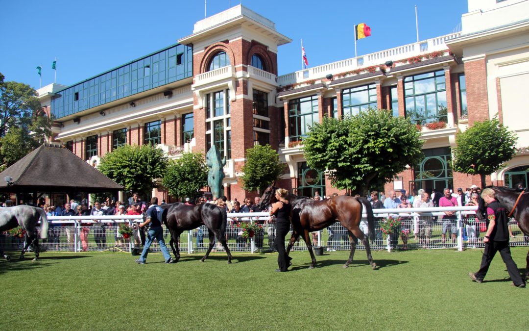 DOPPELCHANCE IN DEAUVILLE