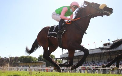 FÜR DEAUVILLE HIGHLIGHT GENANNT