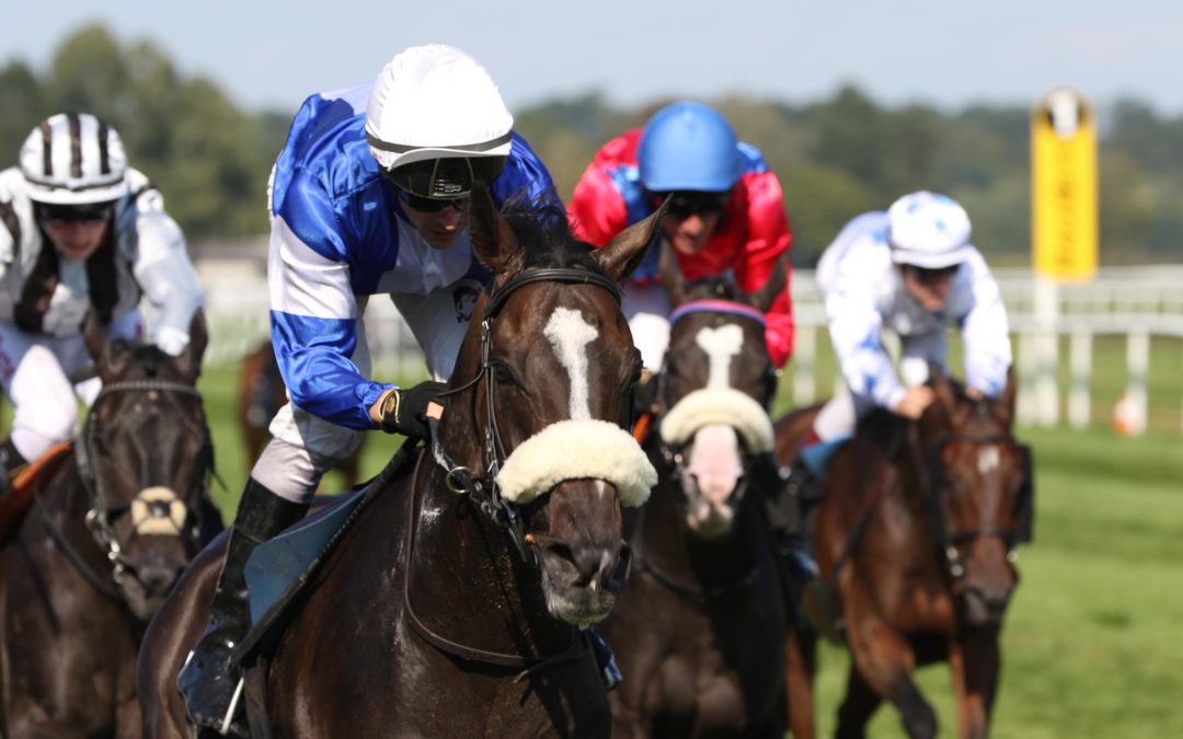 WEITER AUF DRITTEN SIEG WARTEN