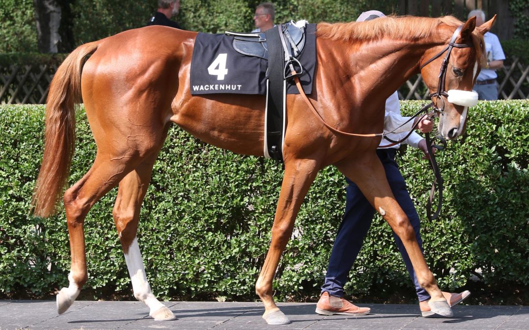WEITER AUF SIEG WARTEN
