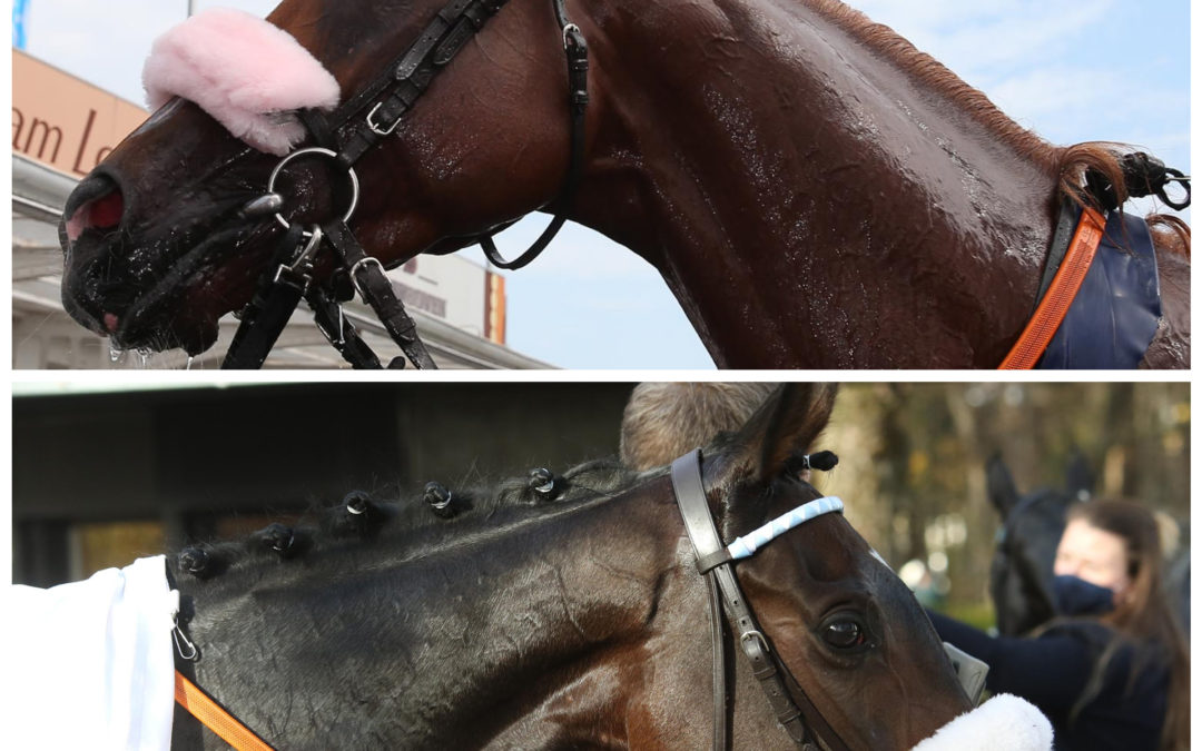 DUO IM PREIS VON EUROPA