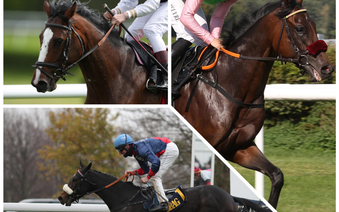 DREI STARTEN IN DRESDEN