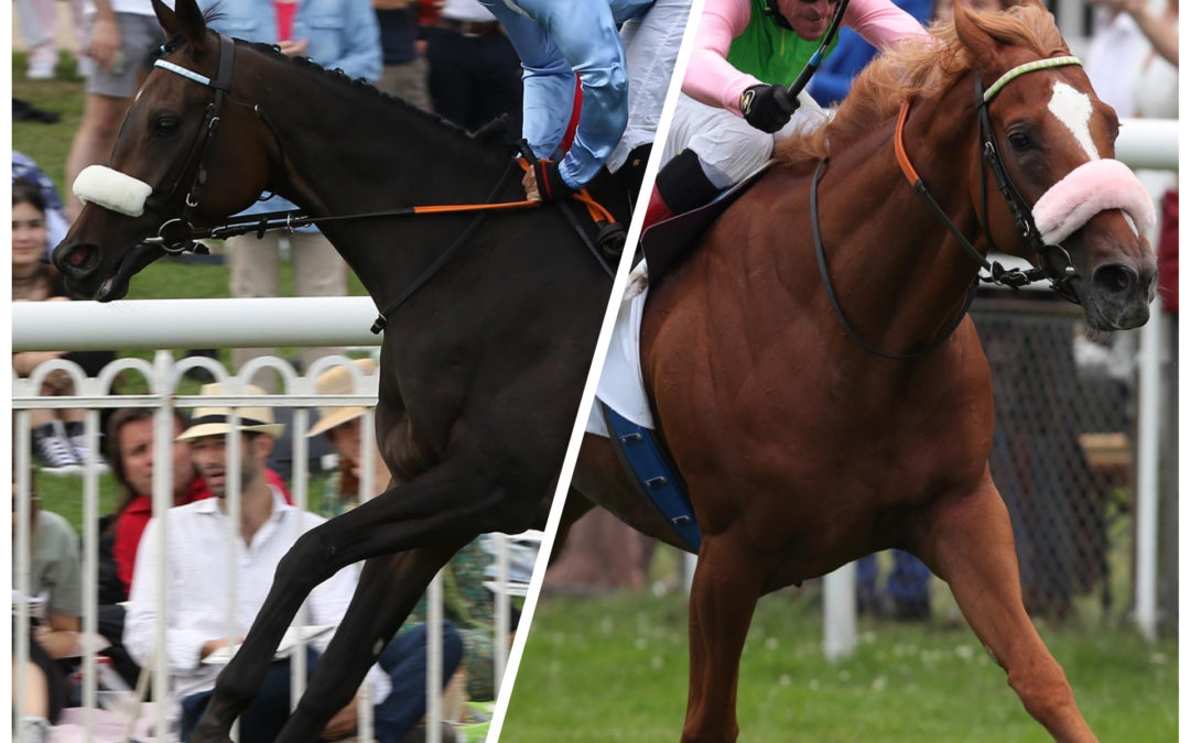 KÖNIG ODER KÖNIGIN VON “EUROPA” ?