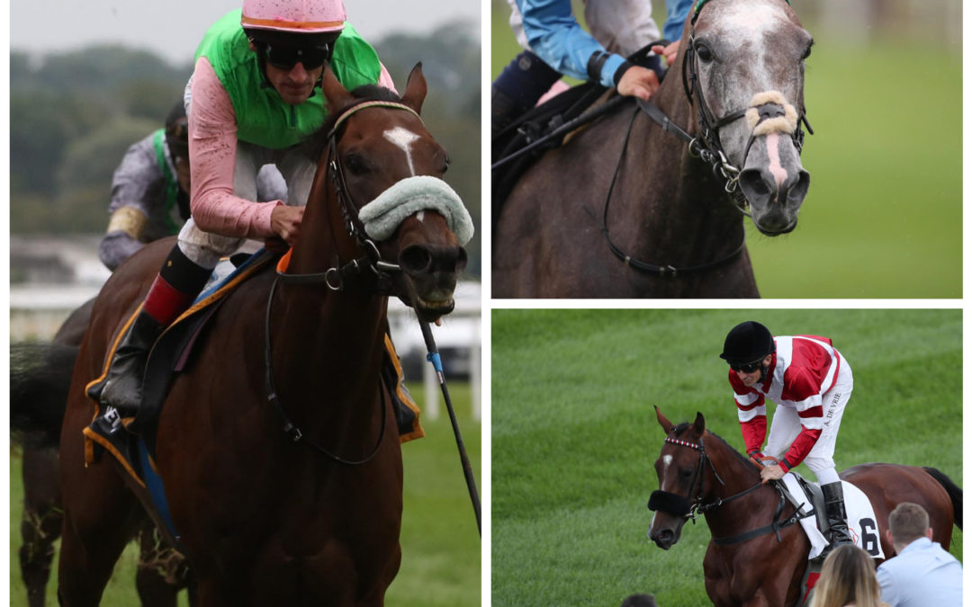 TRIO AUF DEM RAFFELberg