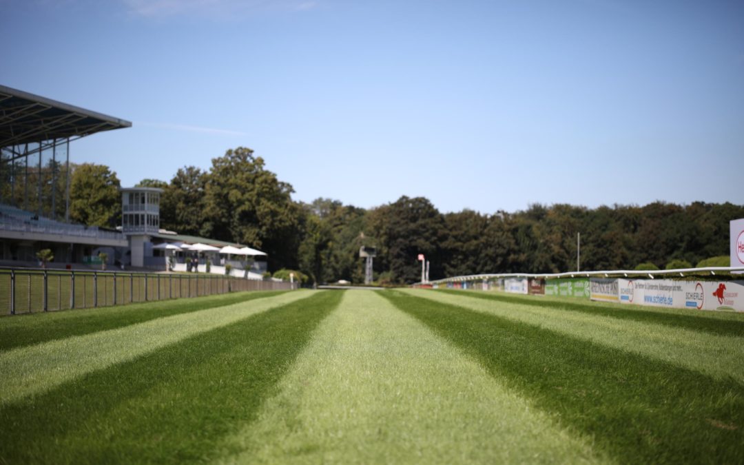 QUINTETT FÜR DÜSSELDORF