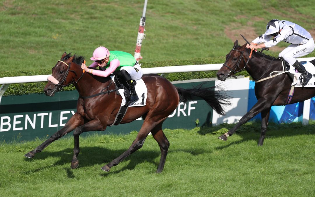 AUF RUBAIYAT’ S SPUREN?