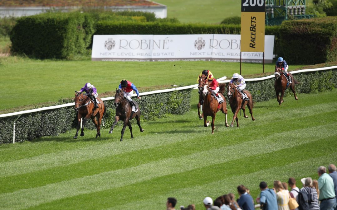 ADLER HOB NOCH NICHT AB