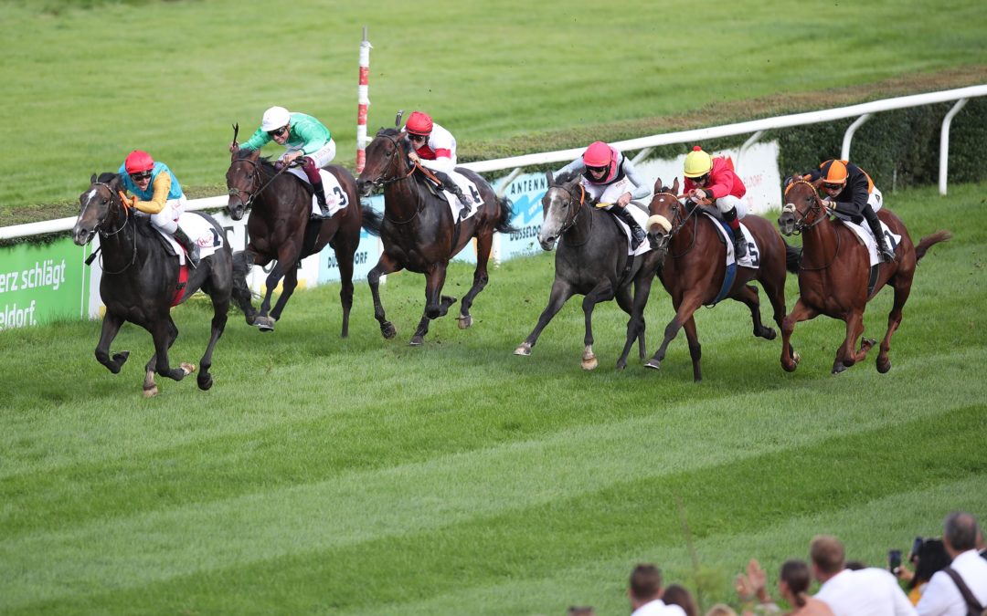 STARKE PLATZIERUNGEN BEI DEN JUNIOREN