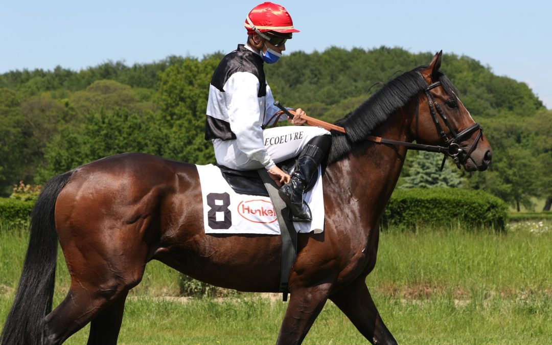 SILUTO ENDLICH NICHT MEHR SIEGLOS