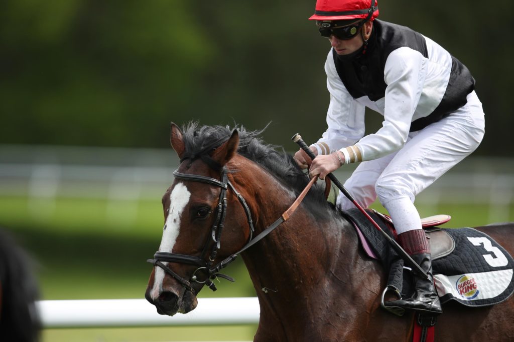 SILUTO SOLIST IN HANNOVER
