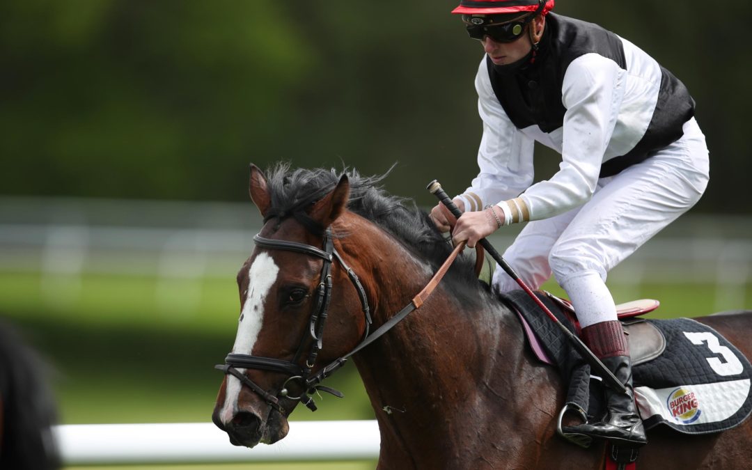 SILUTO SOLIST IN HANNOVER