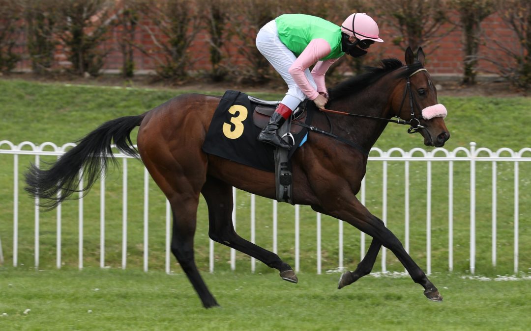 RUBAIYat TOLLER ZWEITER