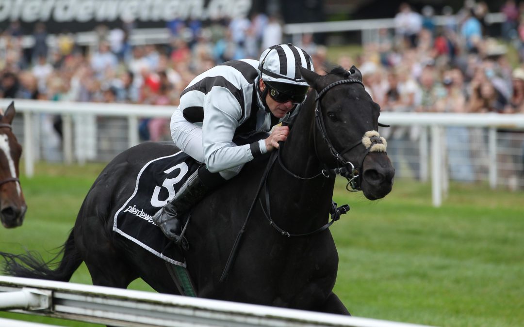 JAWOOOOOHL – ENDLICH NORTH HUNTER