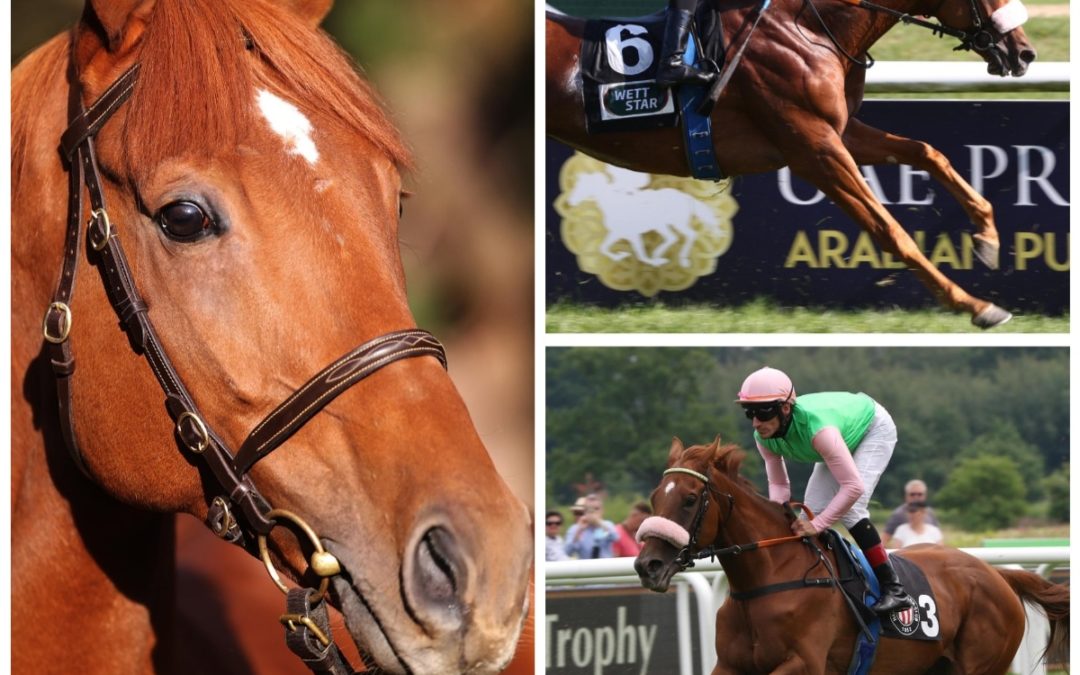 DUELL DER ISFAHAN’S IN KÖLN?