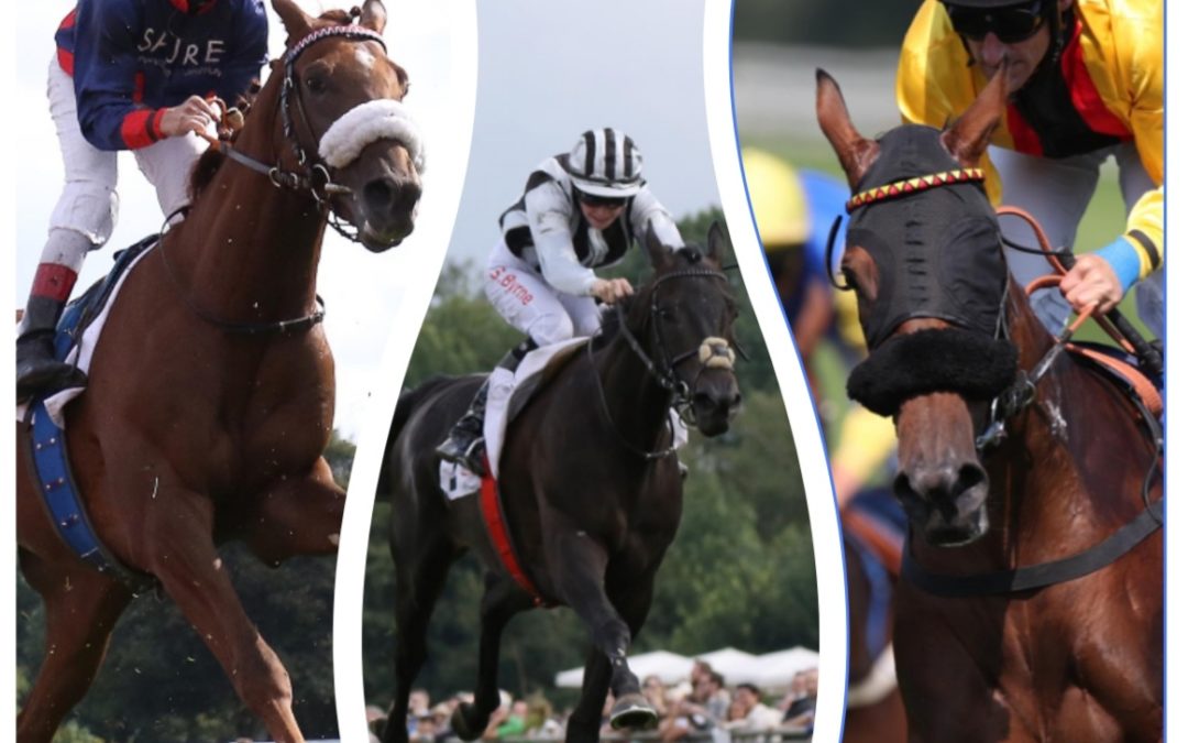 IN KÖLN GUT GERÜSTET