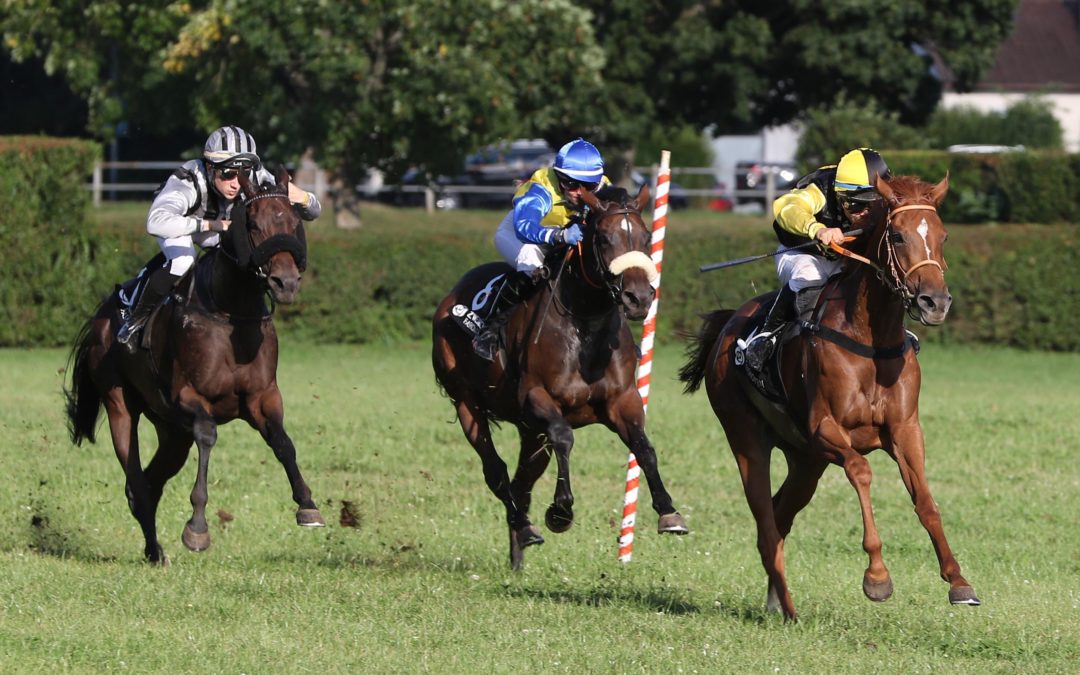 Elfmal Zweiter und dreimal Vierte