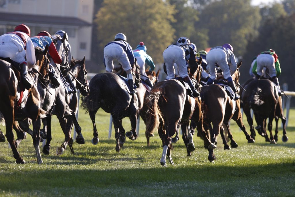 ERFOLGLOS IN DEN HANDICAPS
