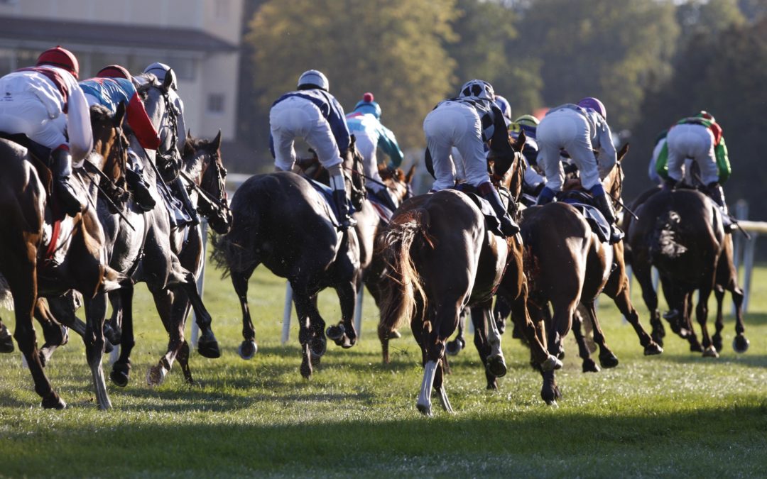 ERFOLGLOS IN DEN HANDICAPS