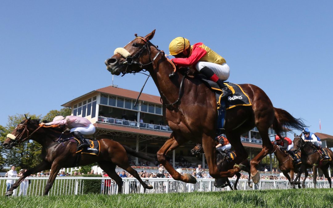 IM RAHMEN GUT GERÜSTET