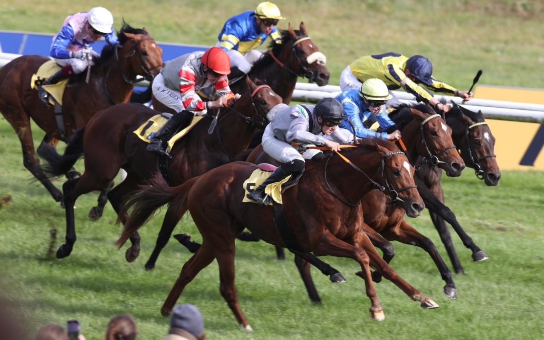 Mr. A. DIESMAL VIERTER IM BBAG