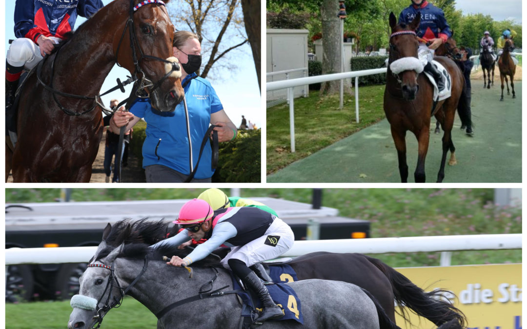 TITEL VERTEIDIGEN UND FORM KORRIGIEREN