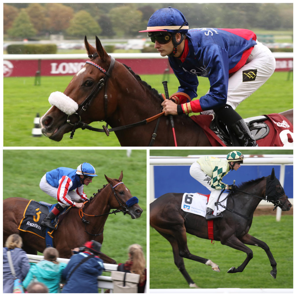 TRIO IN CLAIREFONTAINE