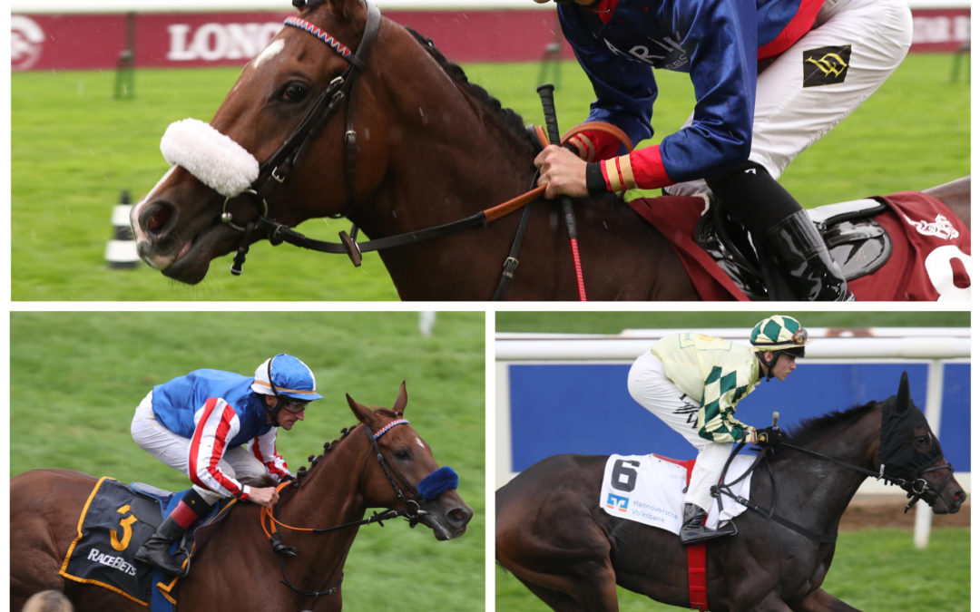 TRIO IN CLAIREFONTAINE