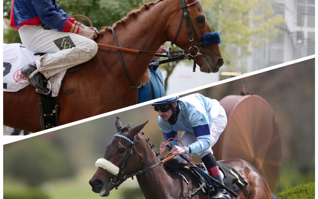 MIT DOPPELSPITZE AUF DIE BULT